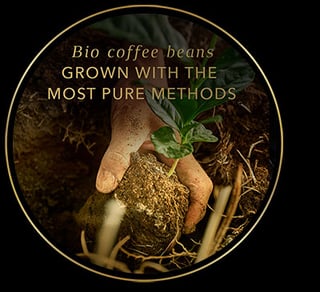 circle bio 2