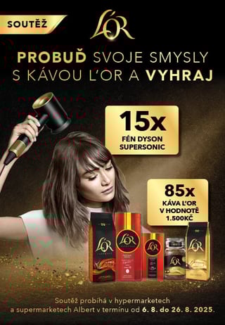 PW07 JDE 15273 LOR Dyson 450x650px