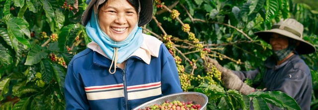 sustainability header